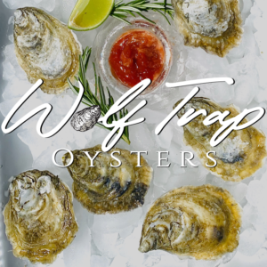 Wolf Trap Oysters