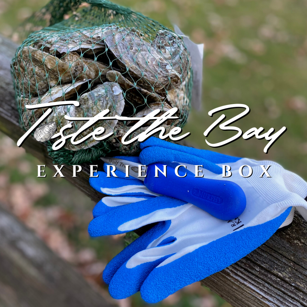 Order Oysters In The Shell Online!